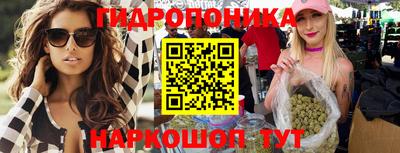 бутират Кингисепп