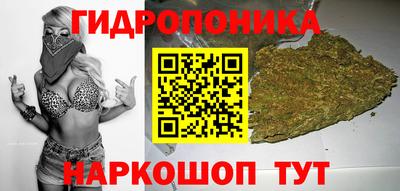 гашик Кинель
