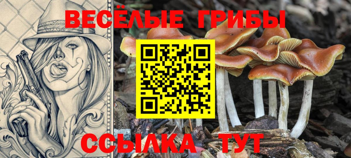 Псилоцибиновые грибы ЛСД  Вход с VPN  Крымск 