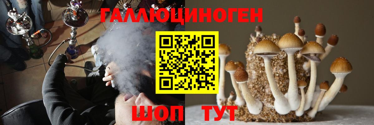 Псилоцибиновые грибы мухоморы Крымск